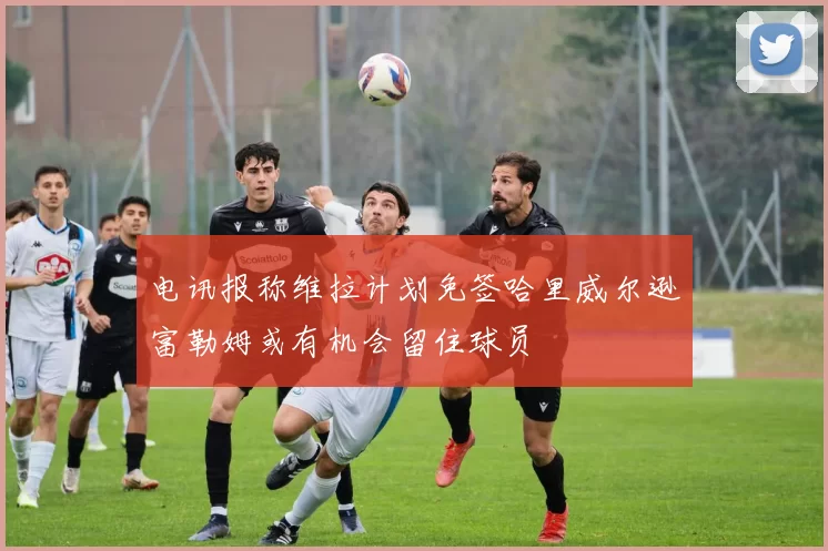电讯报称维拉计划免签哈里威尔逊富勒姆或有机会留住球员
