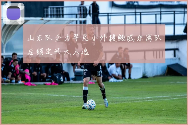 山东队全力寻觅小外援鲍威尔离队后锁定两大人选