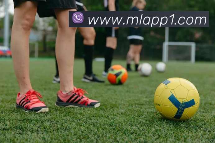 米兰体育App平台生态图