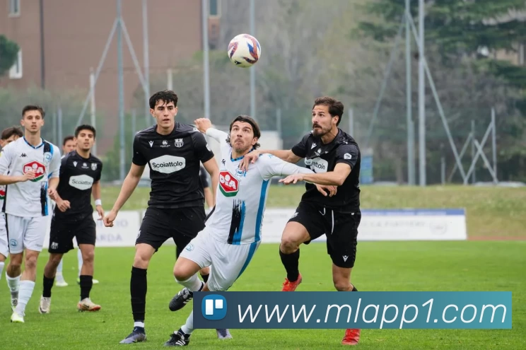 米兰体育AppAPP 封面图